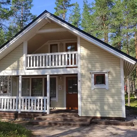 Lomasaerkkae1